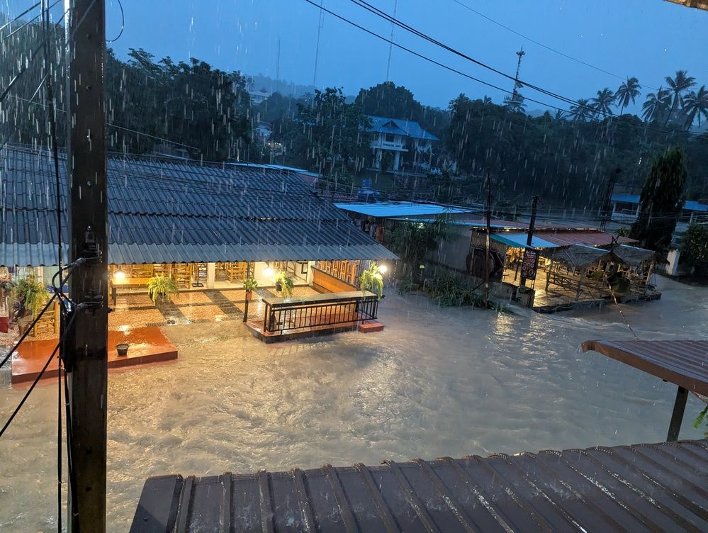 Photograph by Marina Razheva