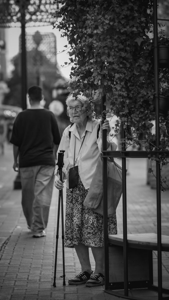 Фотография автора Медведева Елена