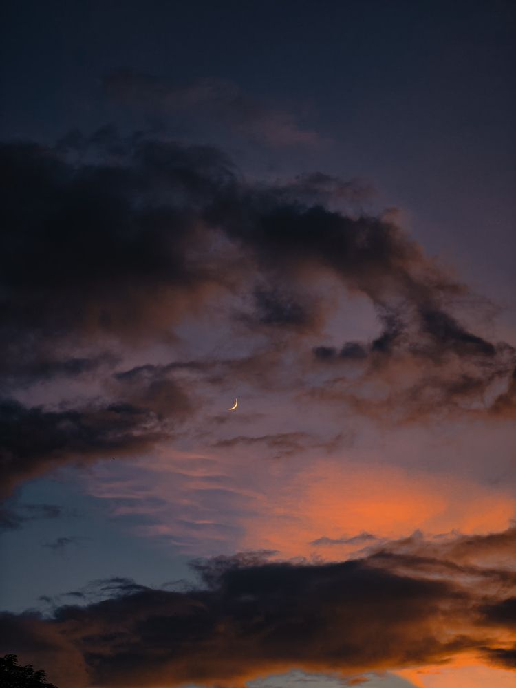 Photograph by Trishik Bose