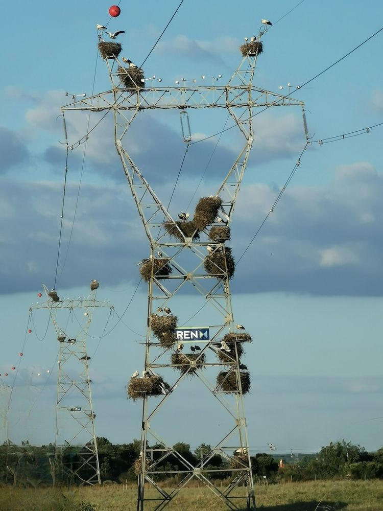 Photograph by Teresa Guerreiro