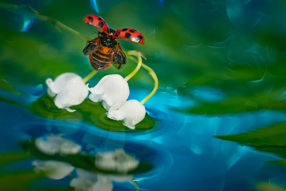 Photograph by Николай Фонарёв