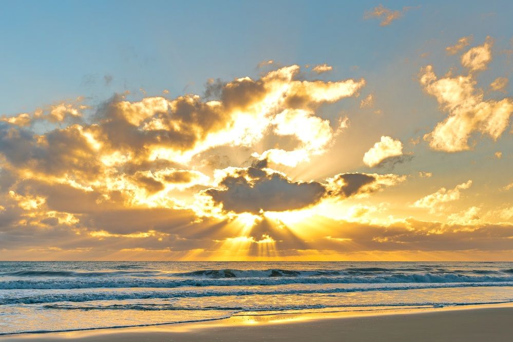 Фотография автора Antonio Etevaldo Rodrigues Junior