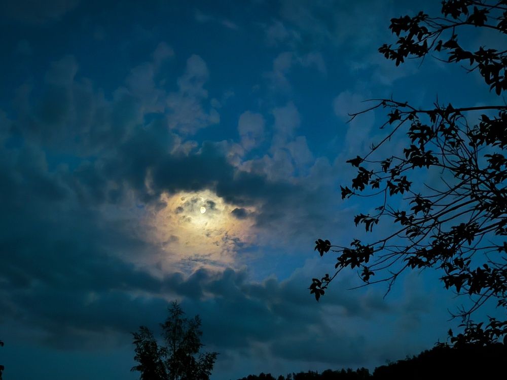 Фотография автора Александр Осинцев