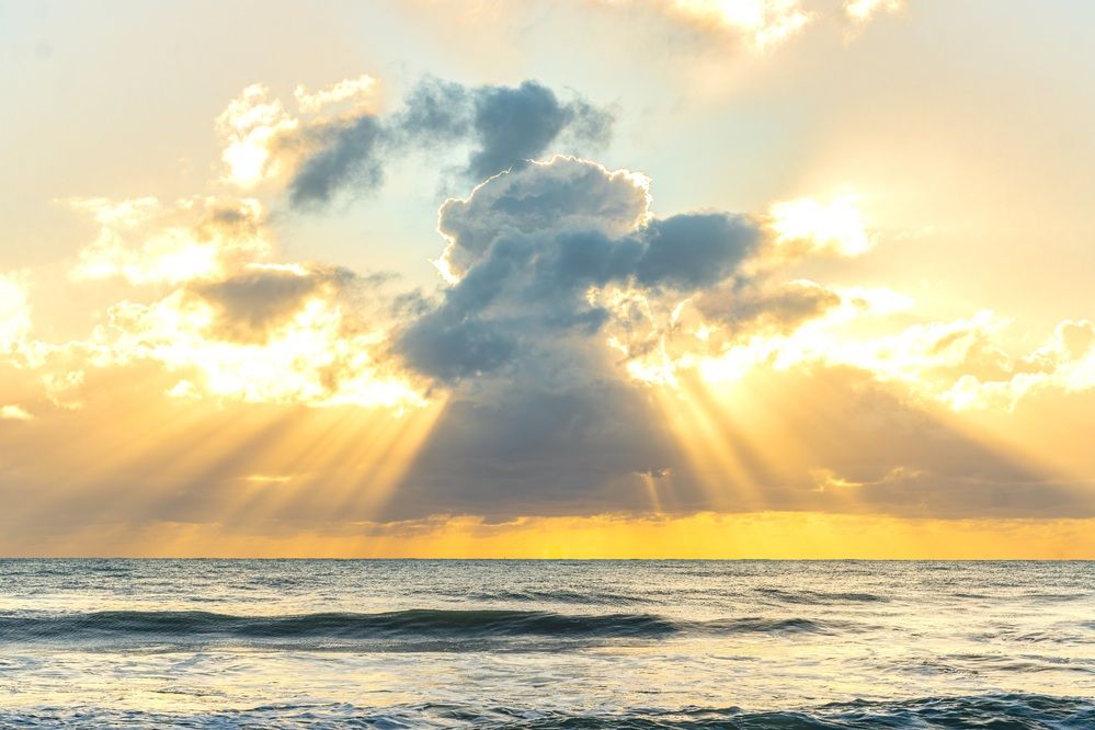 Фотография автора Antonio Etevaldo Rodrigues Junior