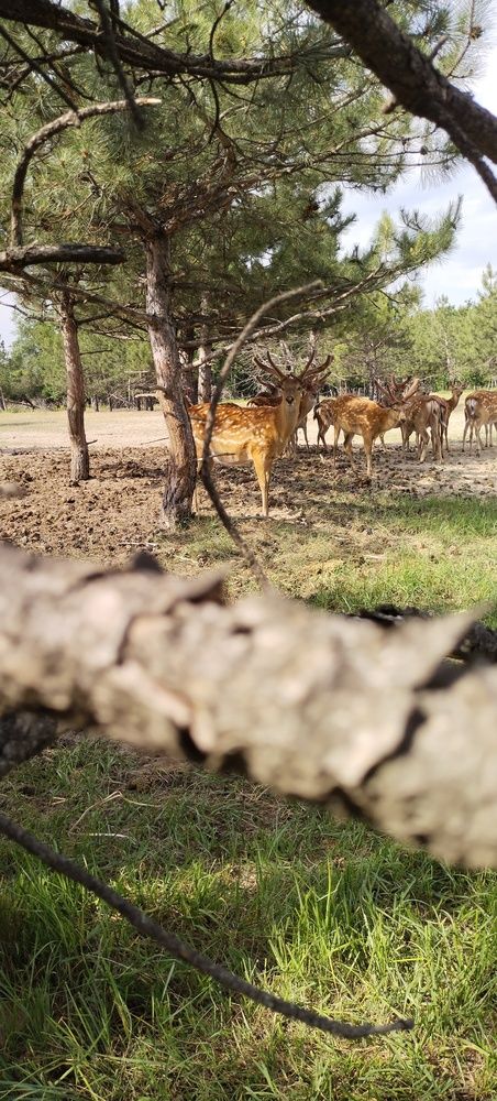 Photograph by Дарина Макарова