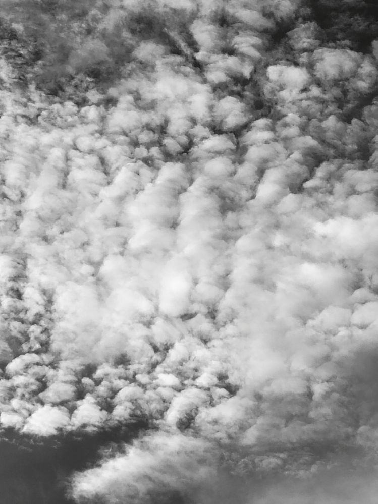 Sky Army Lines in BW