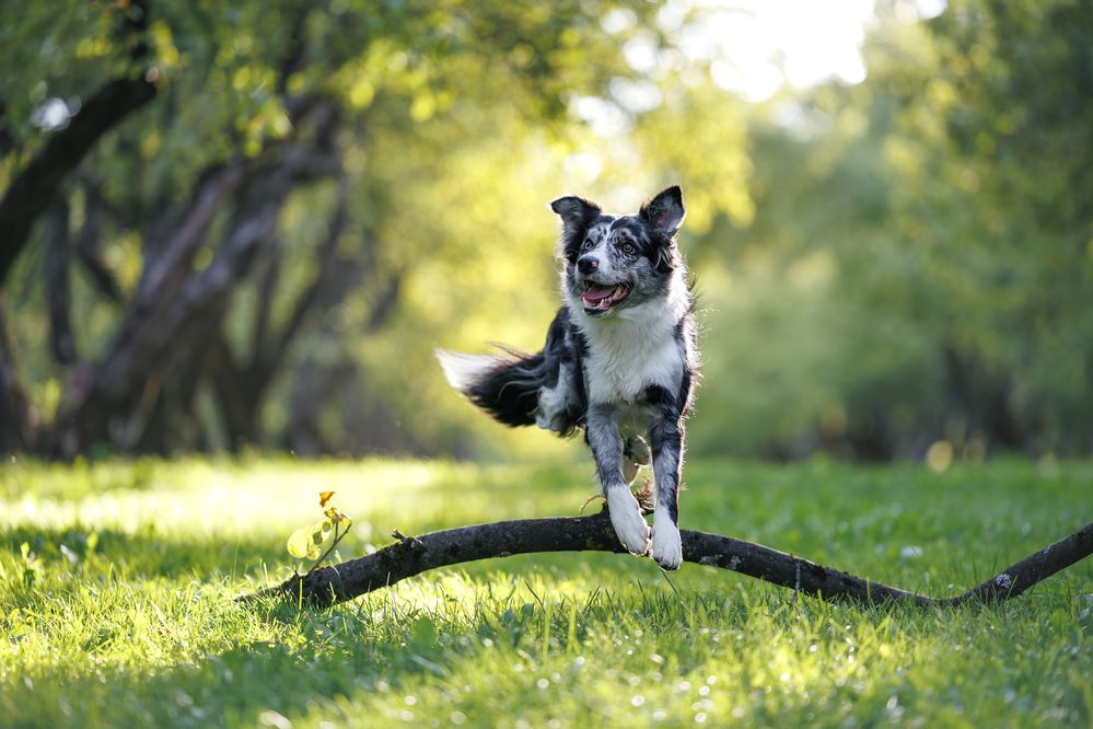 Photograph by Анастасия Жучкова
