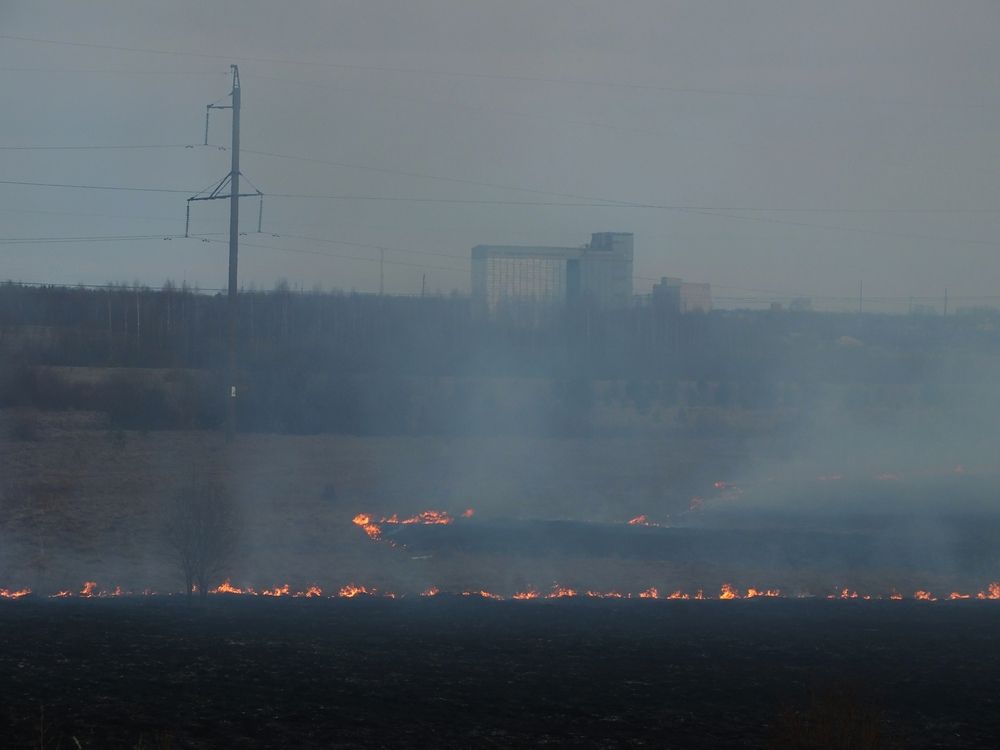 Фотография автора Андрей Шестаков