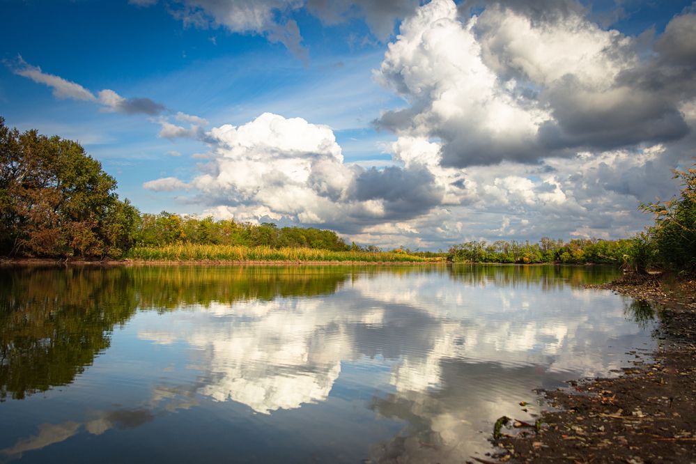 Фотография автора Лия Фотограф-Краснодар