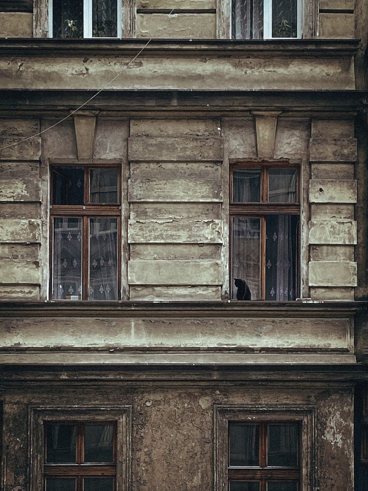 Photograph by Liliia Androsova