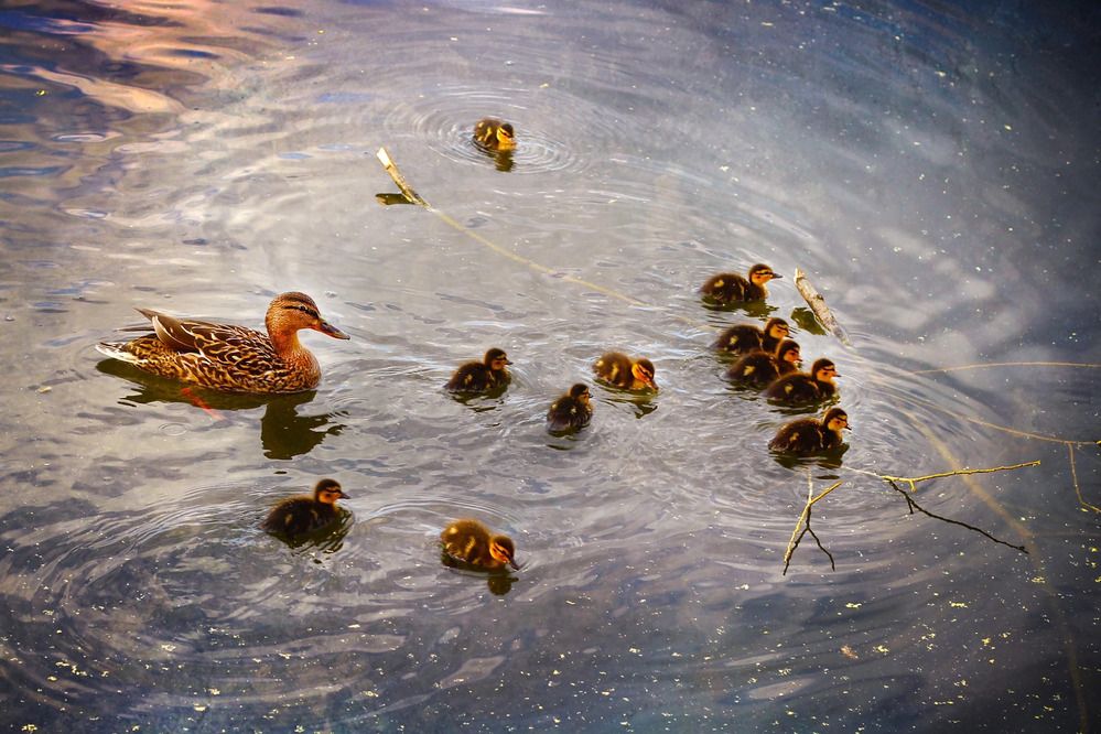 Photograph by Светлана Голикова