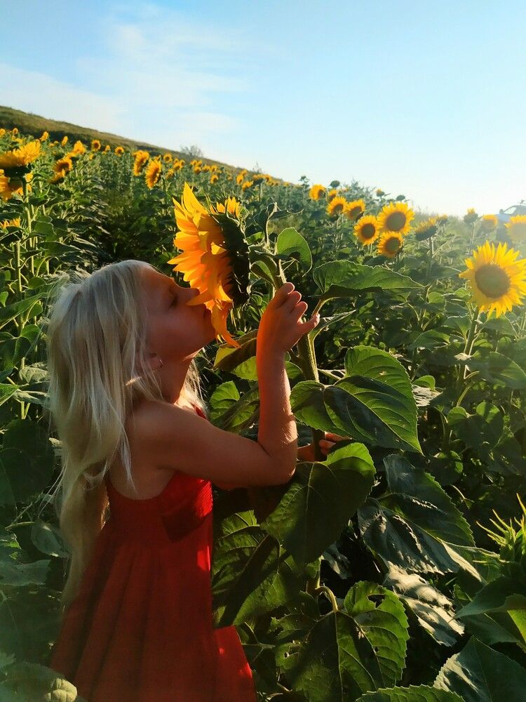 Photograph by Марина А-Б