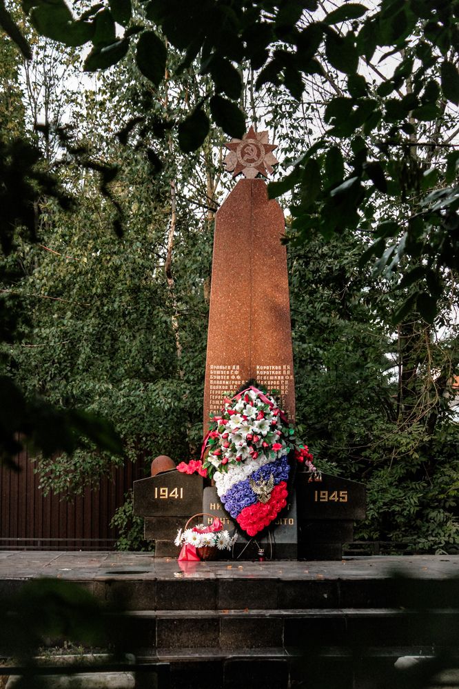 Photograph by Дарья Шишканова