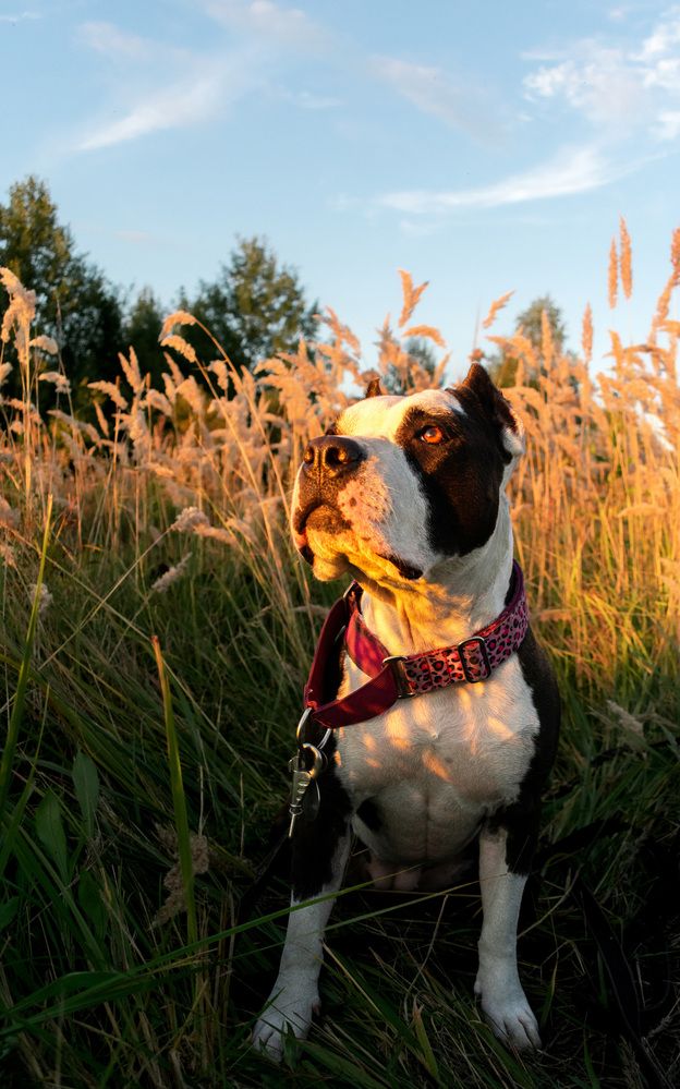 Photograph by Коростелев Владислав