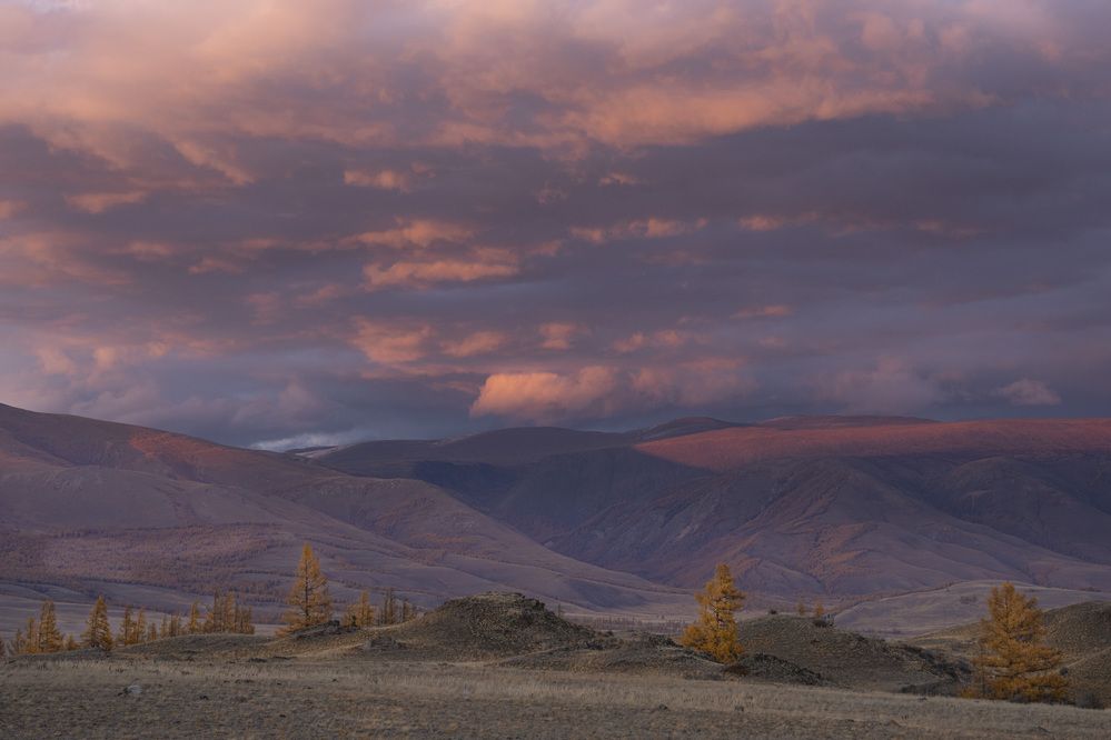 Фотография автора Дейнекина Галина