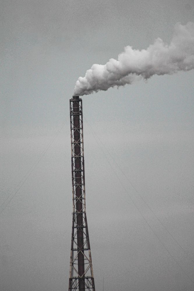 Photograph by Анастасия Псарёва