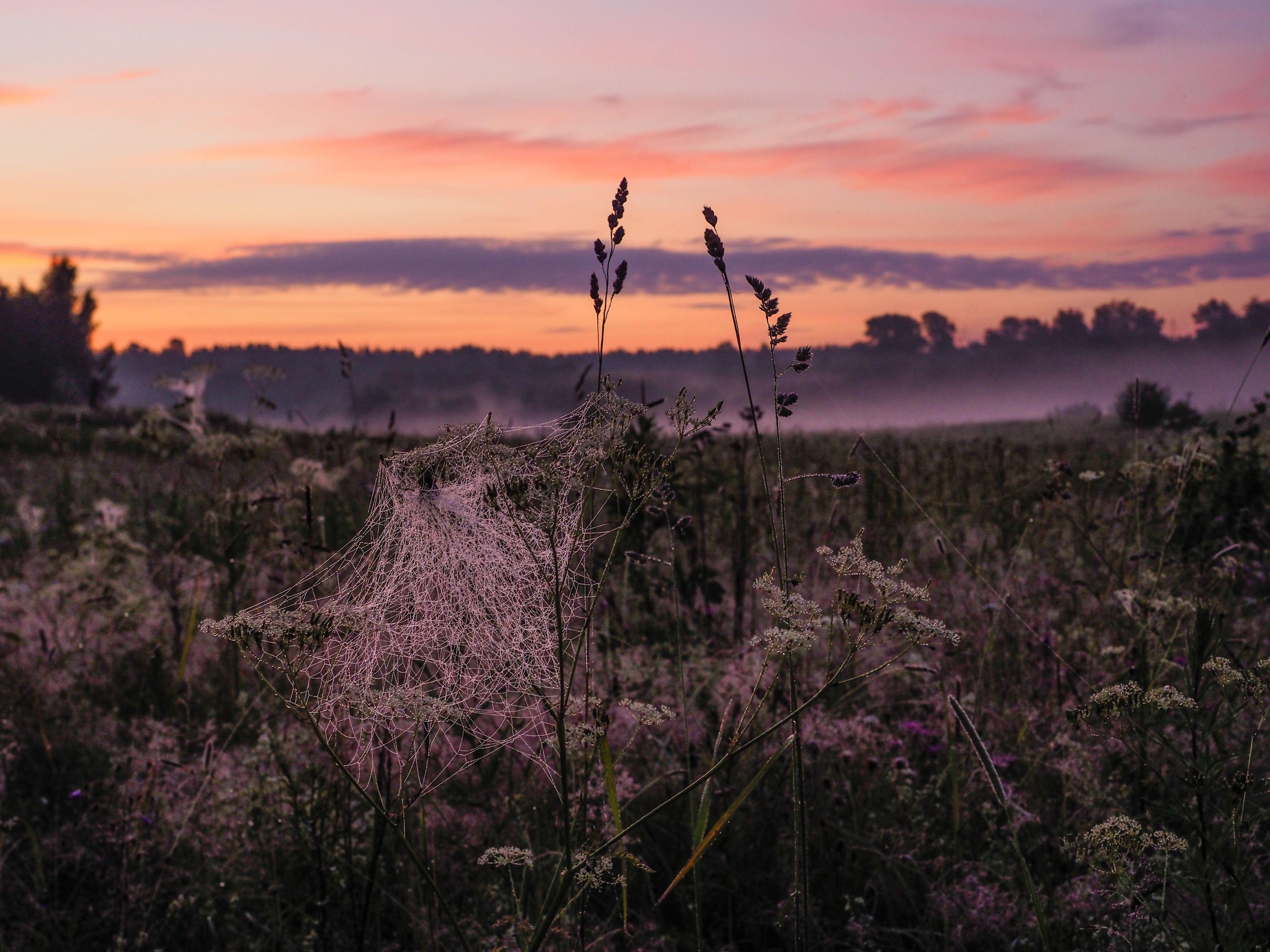 Photograph by Сергей Гаврилов