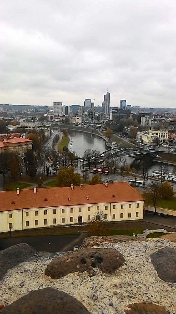 Photo #12517842