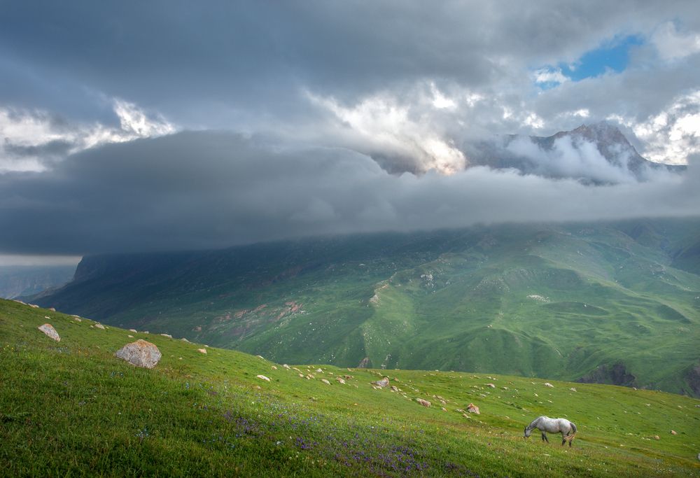 Горные просторы