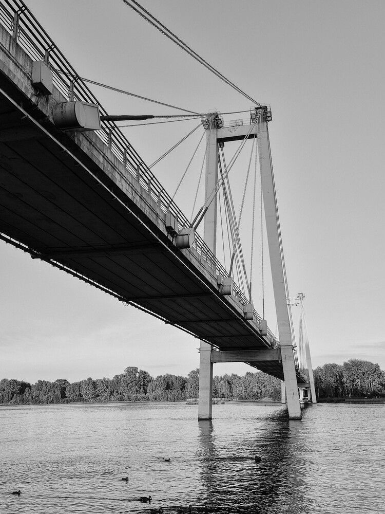 Photo #12517856