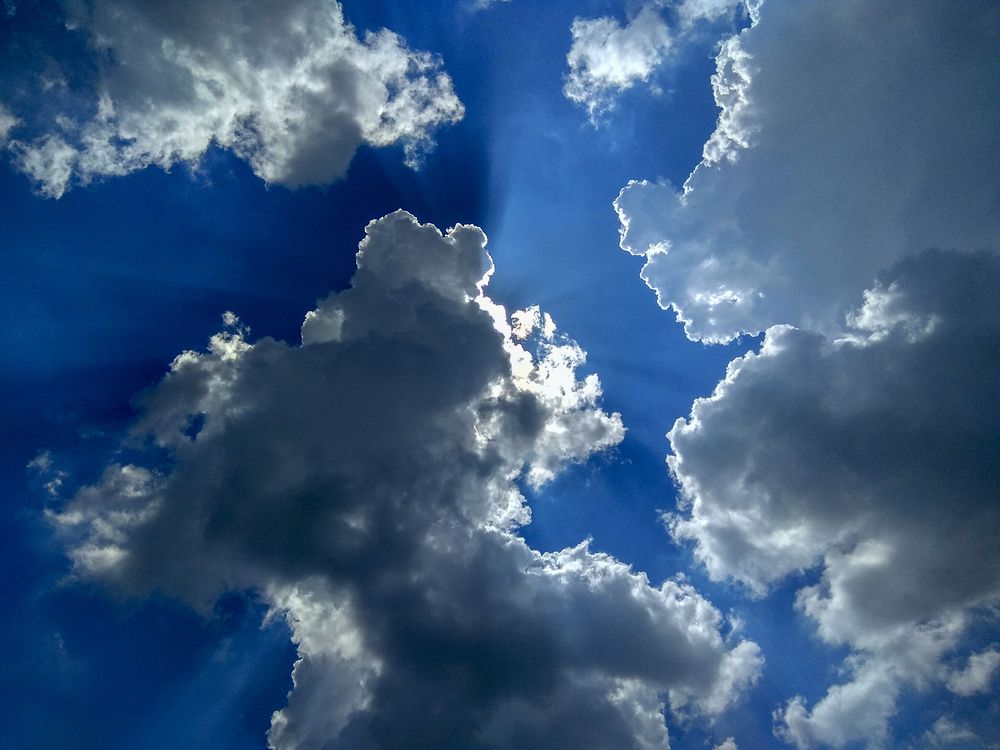 Фотография автора Татьяна Петренко