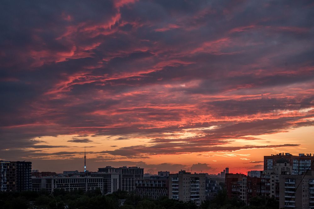 Photograph by Yuliya Pilipchuk
