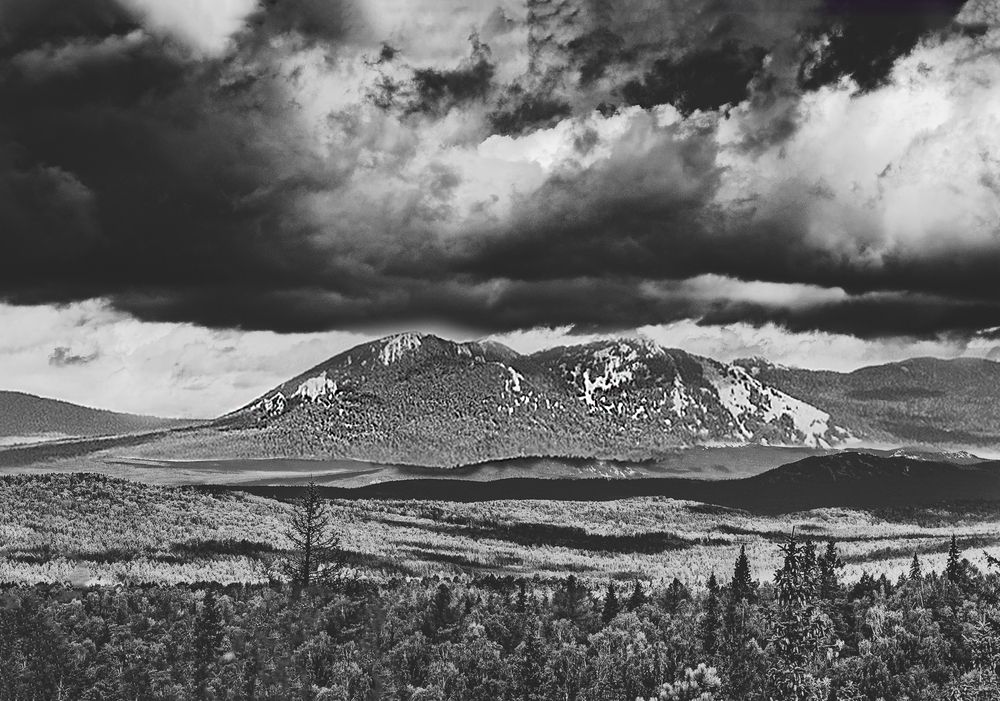 Photograph by Елена Куртеева