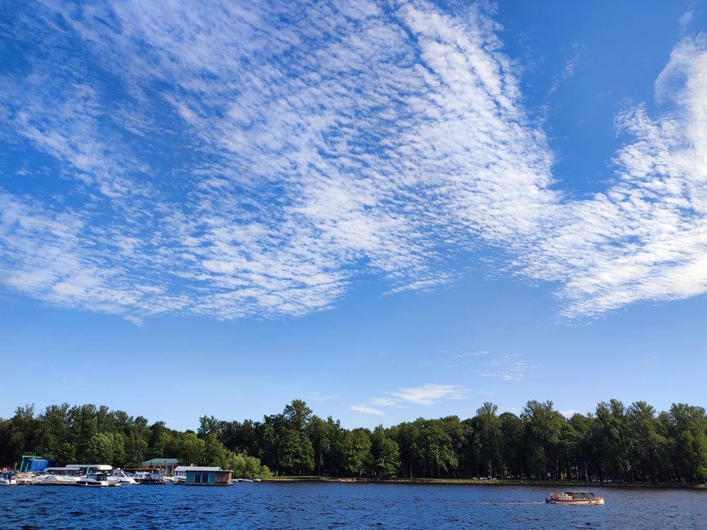 Фотография автора Татьяна Петренко