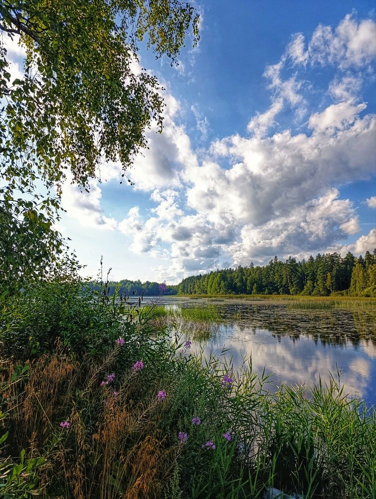 Photograph by Наталья Романова