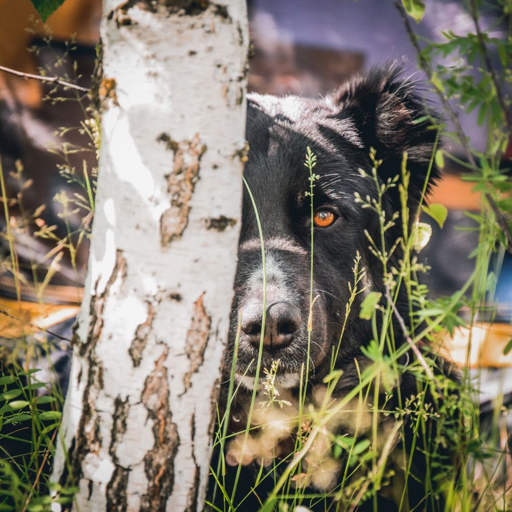 Photograph by Yuliya Pilipchuk