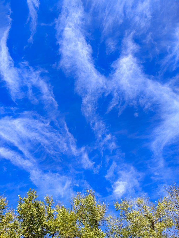 Фотография автора Татьяна Петренко