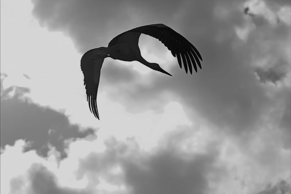 Photograph by Татьяна Слесарева