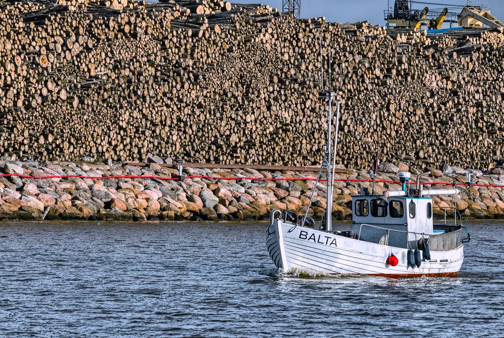 Photograph by Janis Serdienis