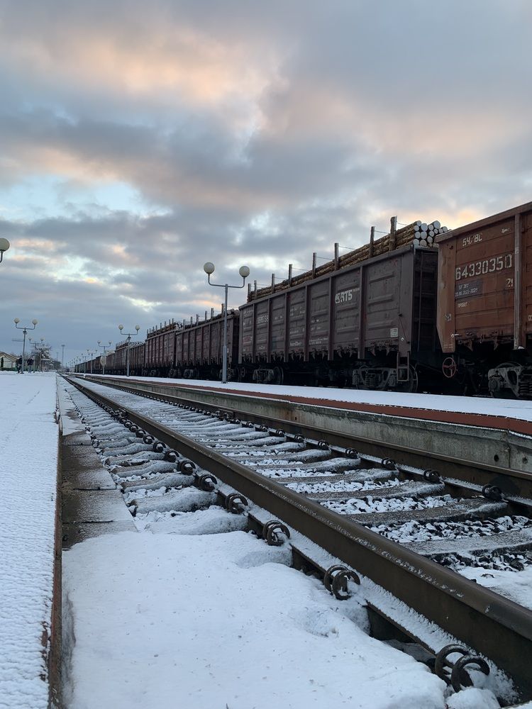 Фотография автора Ирина Шпаковская