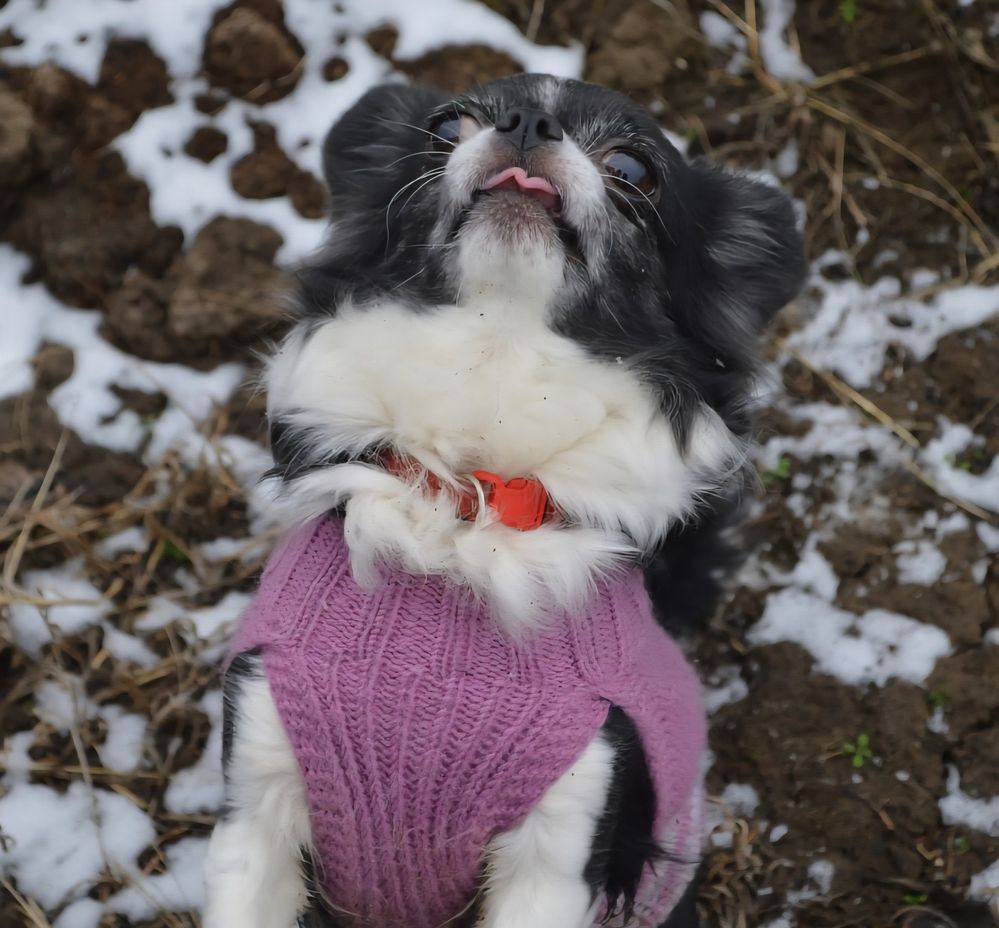 Фотография автора Мария