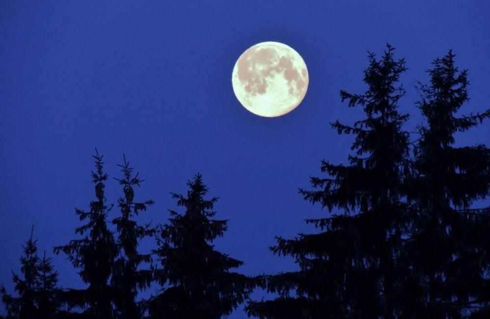 Photograph by Павел Васильев