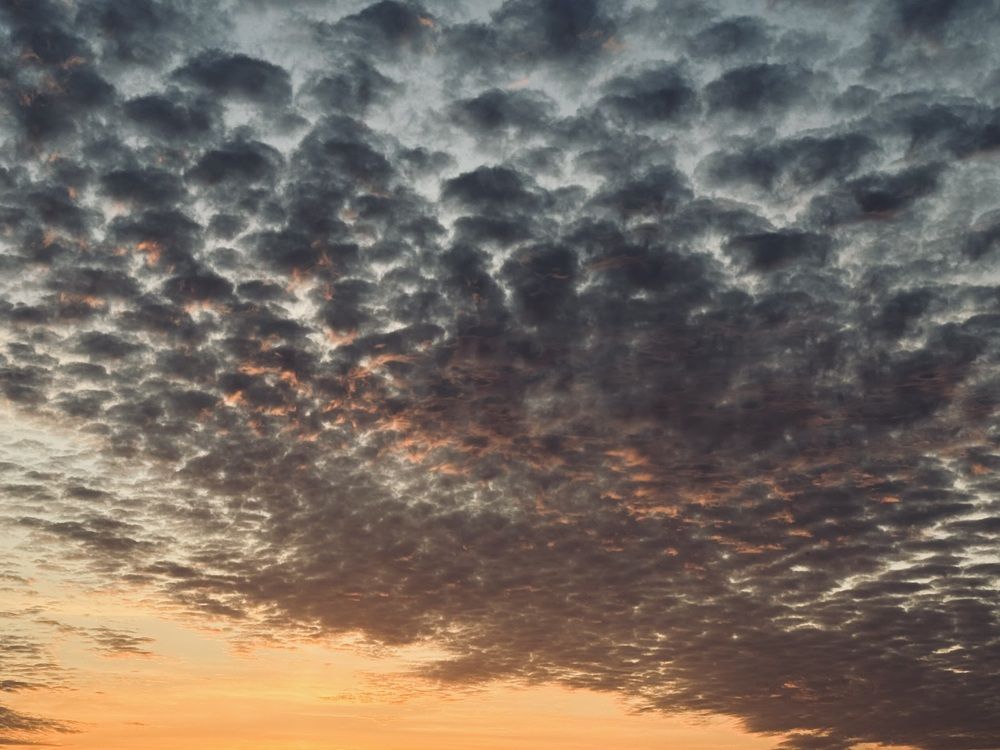 Photograph by Марина Сальникова