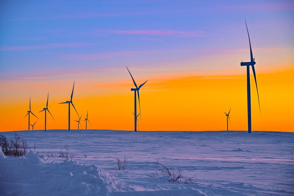 Photograph by Tanzilya Gabidullina