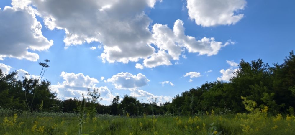 Photograph by Светлана Кравченко