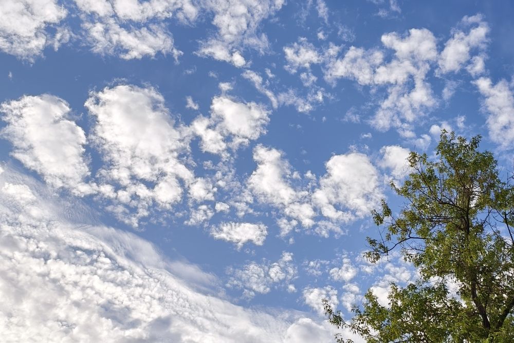 Photograph by Светлана Кравченко