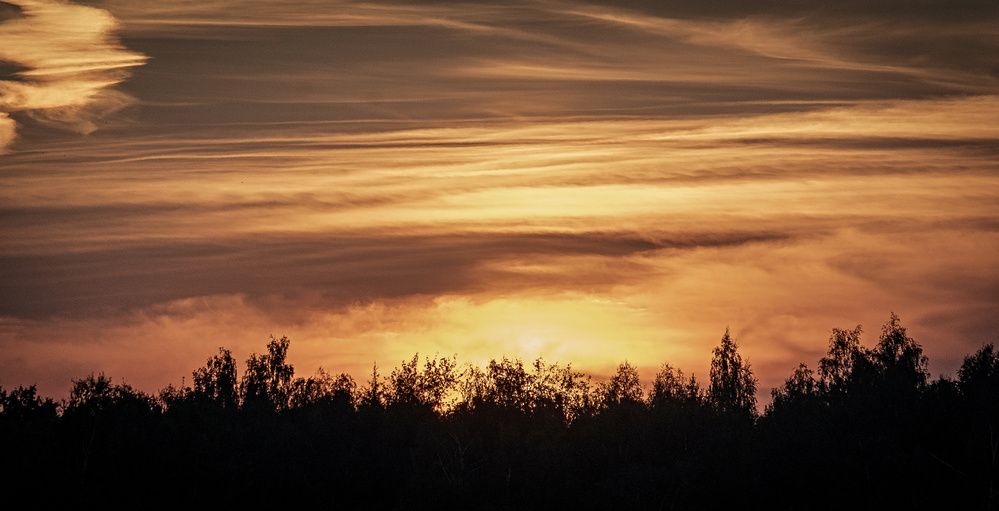 Photograph by Сергей Басов