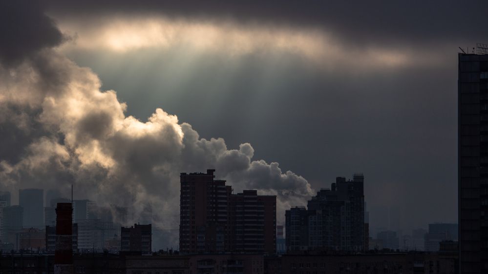 Фотография автора Александр Довганюк