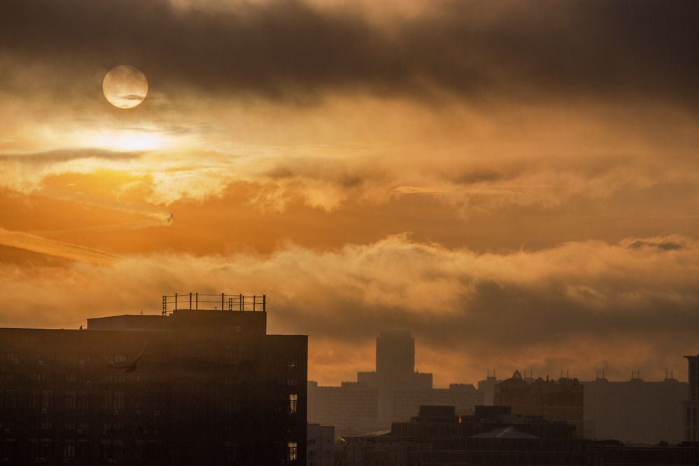 Фотография автора Александр Довганюк