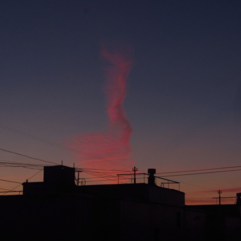 Photo #12518229