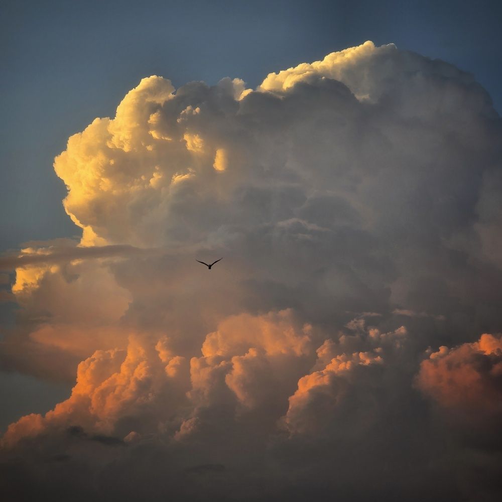 Photograph by Светлана