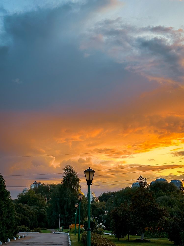 Фотография автора Александра Зимина