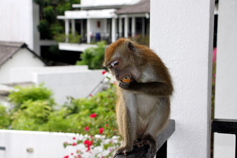 Photograph by  Валентина