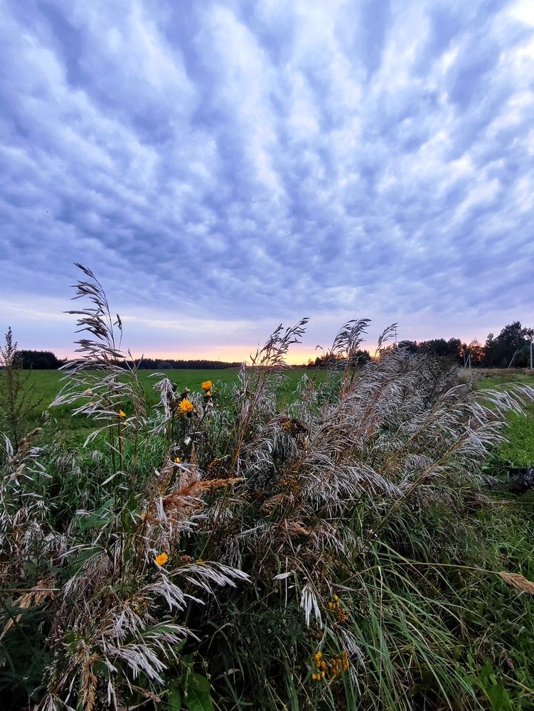 Photograph by Алёна Монахова