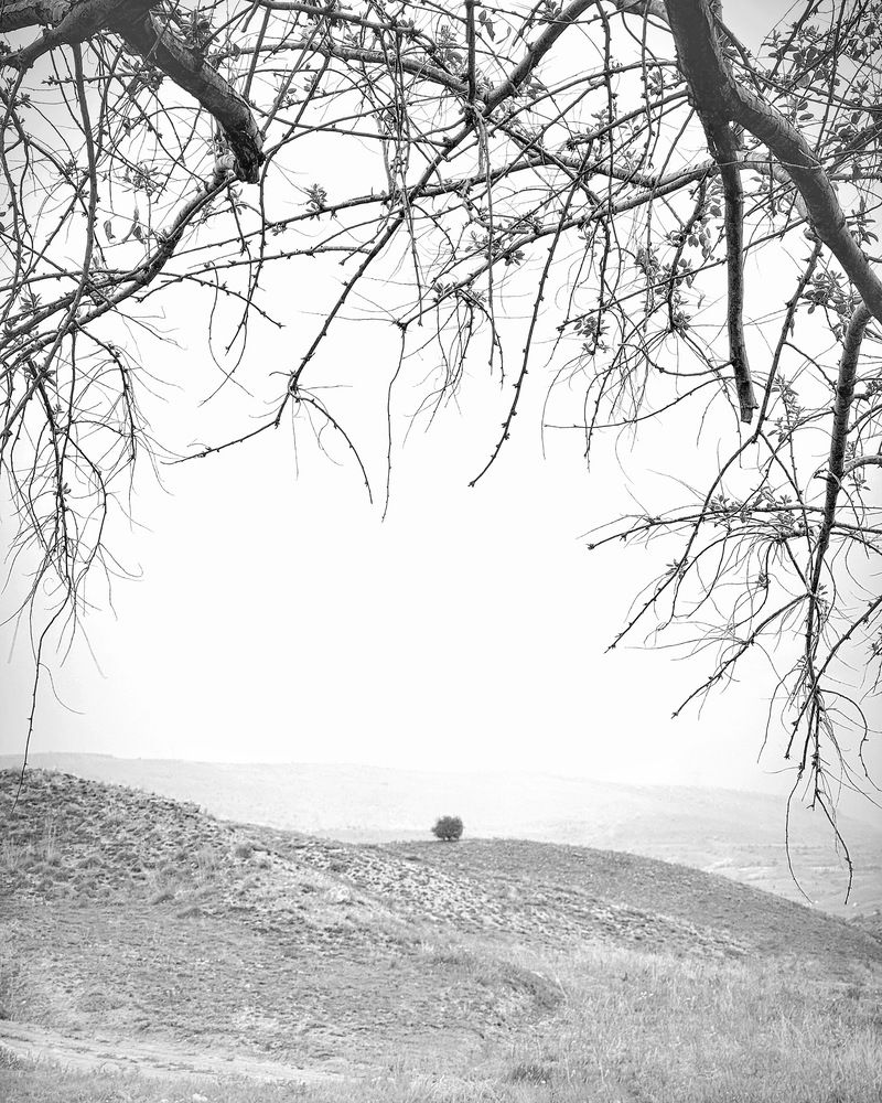 ALONE