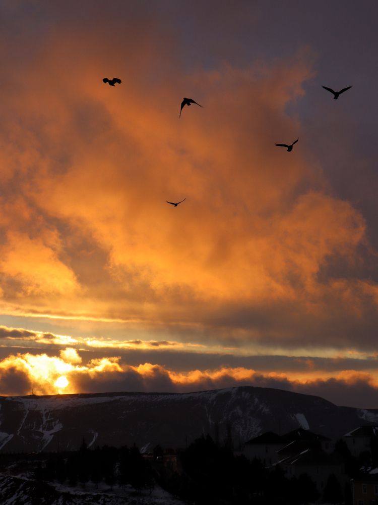 Photograph by Наиля Ахмедова